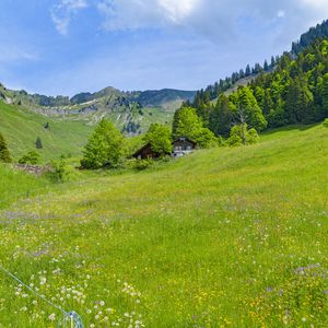 Preview wallpaper valley, houses, trees, mountains, nature, landscape