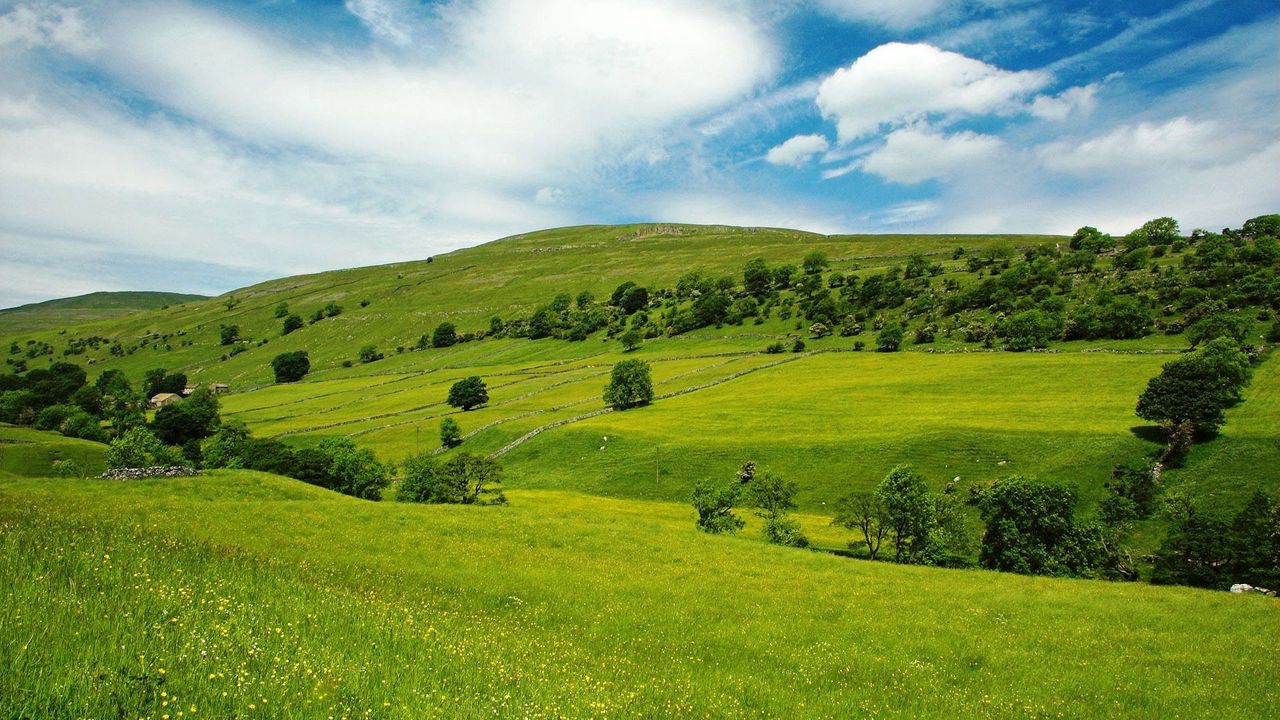 Wallpaper valley, meadows, green, slopes, grass, trees, sky, blue