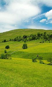 Preview wallpaper valley, meadows, green, slopes, grass, trees, sky, blue