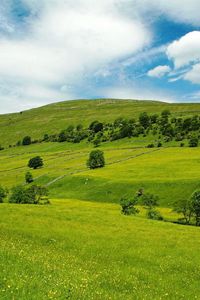 Preview wallpaper valley, meadows, green, slopes, grass, trees, sky, blue