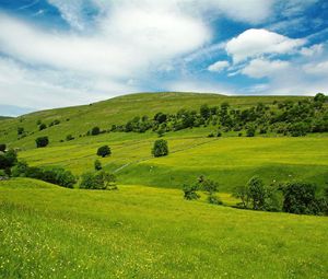 Preview wallpaper valley, meadows, green, slopes, grass, trees, sky, blue