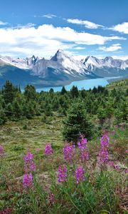 Preview wallpaper valley, mountains, flowers, lake, grass