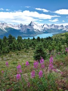 Preview wallpaper valley, mountains, flowers, lake, grass