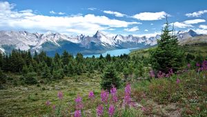 Preview wallpaper valley, mountains, flowers, lake, grass