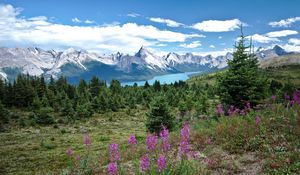 Preview wallpaper valley, mountains, flowers, lake, grass