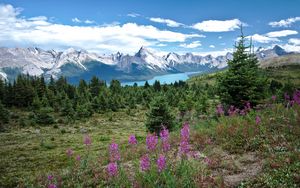 Preview wallpaper valley, mountains, flowers, lake, grass