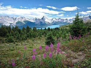 Preview wallpaper valley, mountains, flowers, lake, grass