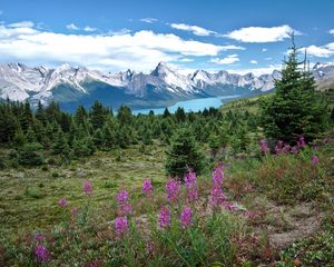 Preview wallpaper valley, mountains, flowers, lake, grass