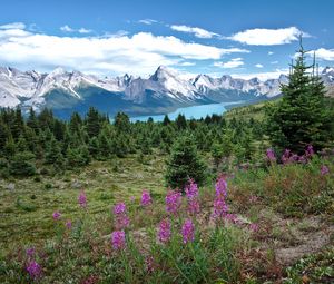 Preview wallpaper valley, mountains, flowers, lake, grass