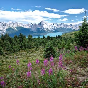 Preview wallpaper valley, mountains, flowers, lake, grass