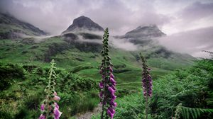 Preview wallpaper valley, mountains, flowers, fog, landscape