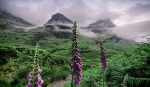 Preview wallpaper valley, mountains, flowers, fog, landscape