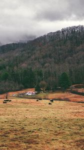 Preview wallpaper valley, mountains, grass, trees, fog