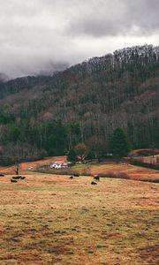 Preview wallpaper valley, mountains, grass, trees, fog