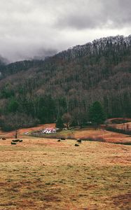 Preview wallpaper valley, mountains, grass, trees, fog