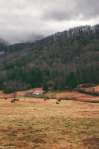 Preview wallpaper valley, mountains, grass, trees, fog