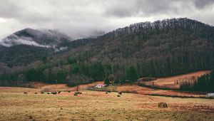 Preview wallpaper valley, mountains, grass, trees, fog