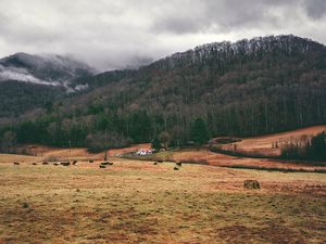 Preview wallpaper valley, mountains, grass, trees, fog