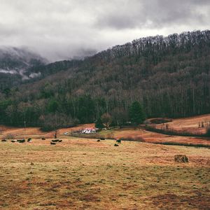 Preview wallpaper valley, mountains, grass, trees, fog