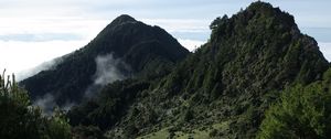 Preview wallpaper valley, mountains, ponds, trees