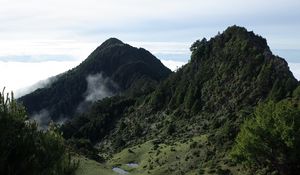 Preview wallpaper valley, mountains, ponds, trees