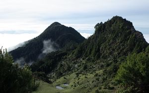 Preview wallpaper valley, mountains, ponds, trees