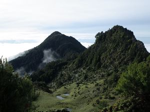 Preview wallpaper valley, mountains, ponds, trees