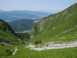 Preview wallpaper valley, mountains, trees, grass, landscape