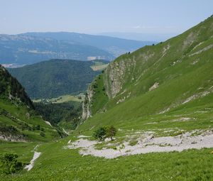 Preview wallpaper valley, mountains, trees, grass, landscape