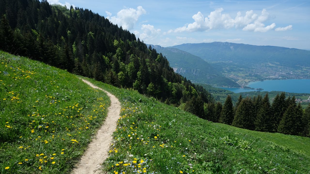 Wallpaper valley, path, forest, landscape