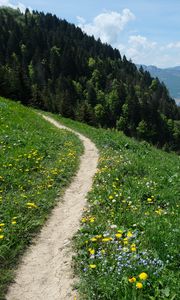 Preview wallpaper valley, path, forest, landscape