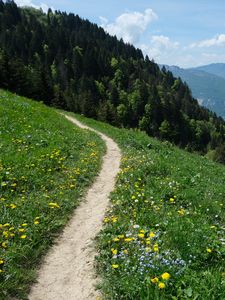 Preview wallpaper valley, path, forest, landscape