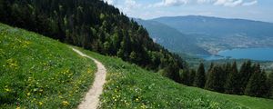 Preview wallpaper valley, path, forest, landscape