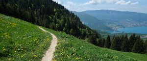 Preview wallpaper valley, path, forest, landscape