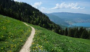 Preview wallpaper valley, path, forest, landscape