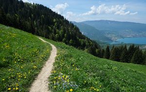 Preview wallpaper valley, path, forest, landscape