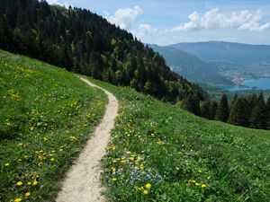 Preview wallpaper valley, path, forest, landscape