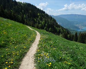 Preview wallpaper valley, path, forest, landscape