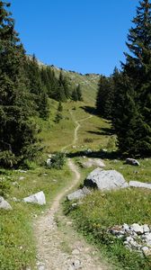 Preview wallpaper valley, path, trees, nature, landscape