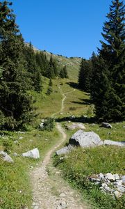 Preview wallpaper valley, path, trees, nature, landscape