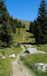 Preview wallpaper valley, path, trees, nature, landscape