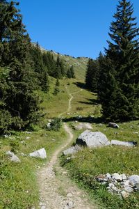 Preview wallpaper valley, path, trees, nature, landscape