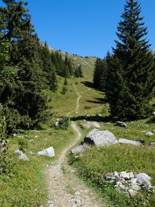 Preview wallpaper valley, path, trees, nature, landscape