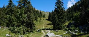 Preview wallpaper valley, path, trees, nature, landscape