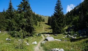 Preview wallpaper valley, path, trees, nature, landscape