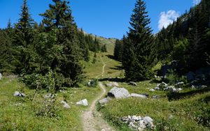 Preview wallpaper valley, path, trees, nature, landscape