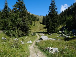 Preview wallpaper valley, path, trees, nature, landscape