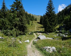 Preview wallpaper valley, path, trees, nature, landscape