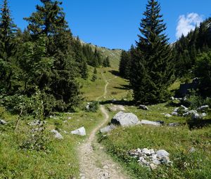 Preview wallpaper valley, path, trees, nature, landscape