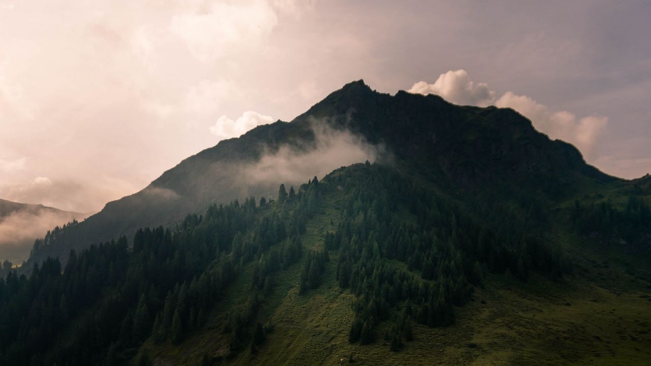 Wallpaper valley, peak, green, forest